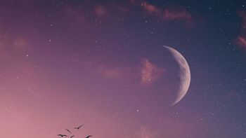 Purifica tu hogar en esta Luna Nueva en Virgo