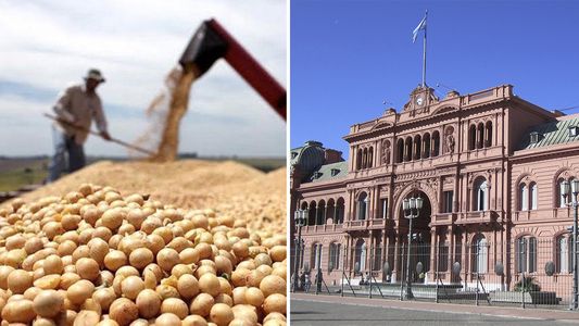 Retenciones: el Gobierno sólo eliminaría el diferencial entre la soja y los subproductos y se ampliarían los fideicomisos cerealeros