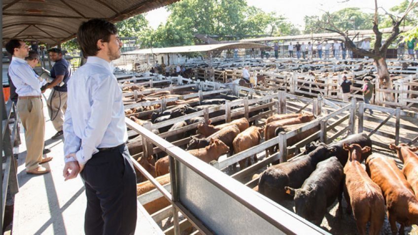 El coronavirus cambia la operatoria del mercado de Liniers