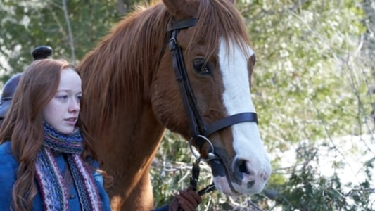 Netflix: ¿Cómo se llama el caballo de Anne With An E?