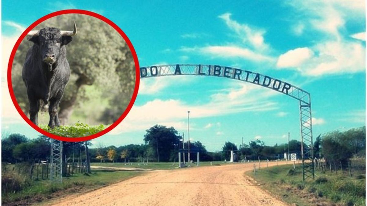 El toro envistió a su dueño. (Foto: NA)