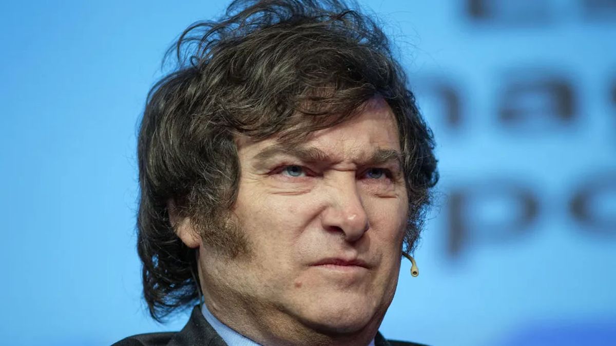 Javier Milei calificó de organismo nefasto  a la OMS tras la salida de Argentina (Foto: archivo)