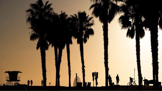 Diario de la Procrastinación: Las paredes y la memoria