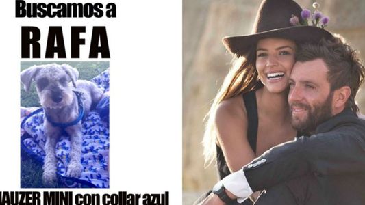 Ex de Calu Rivero viralizó una campaña para encontrar a su perro