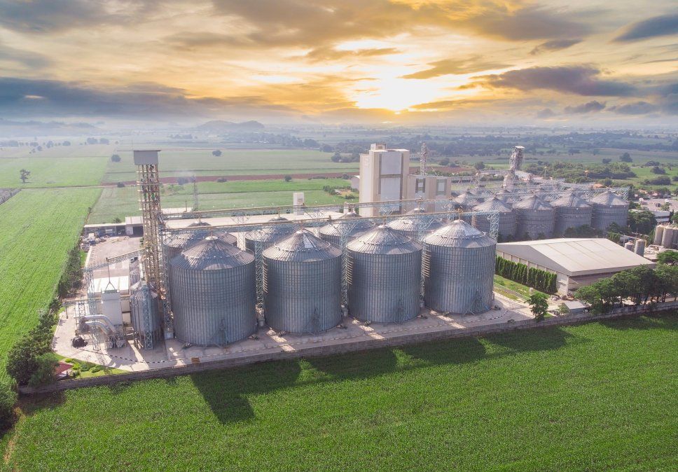 El Banco Nación brindará créditos productivos para acompañar a las pymes de Santa Fe a financiar y ampliar la capacidad de producción del sector agrícola-ganadero.