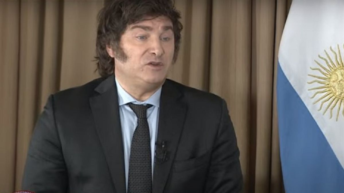 Javier Milei durante la entrevista en la que expuso las medidas que tomará en su gobierno (Foto: captura TV TN).