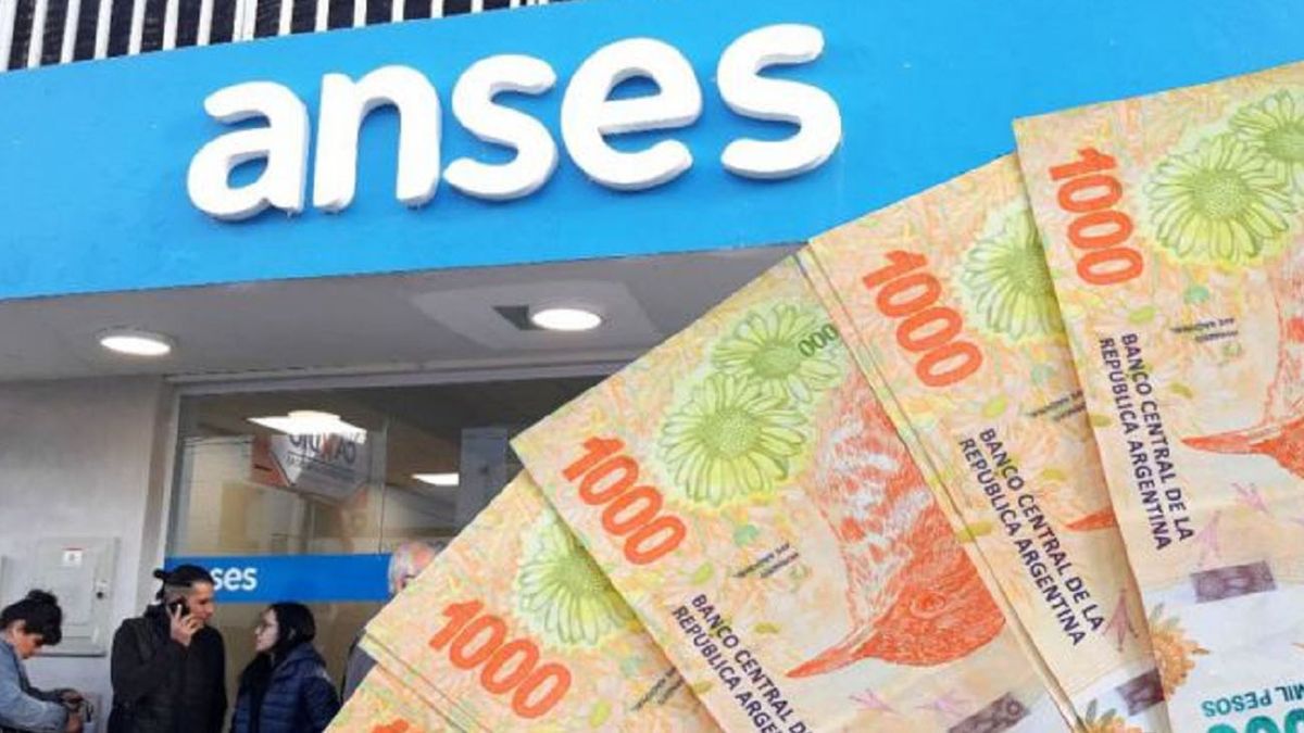 Atención beneficiarios de ANSES: oficializaron el pago de $ 91 mil en MARZO