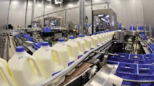 La paradoja del sector lácteo: crece la producción y la exportación, pero la cadena sufre por baja rentabilidad