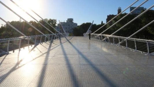 Intentaba sacarse una selfie, cayó desde el puente peatonal y debió ser hospitalizado