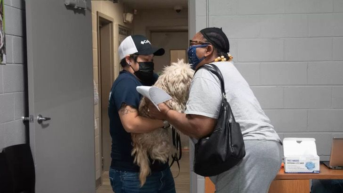 Desolado llanto al reencontrarse con su perro perdido
