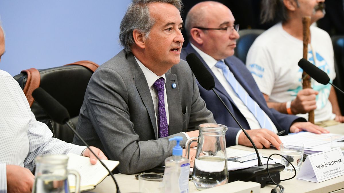 Mayoraz defendió el esquema de exposiciones que restringió el número de expositores a 400 durante este miércoles y jueves. (Foto: Diputados).