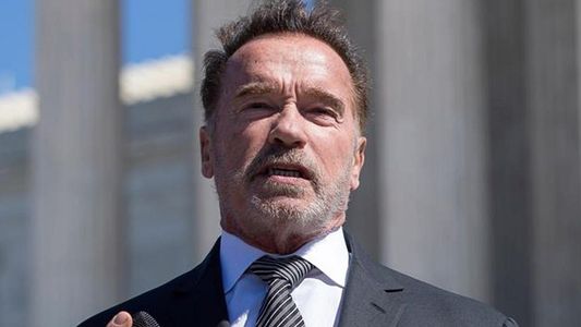 Arnold Schwarzenegger será abuelo por primera vez