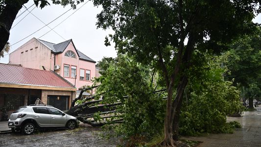 SUBSIDIO por el TEMPORAL: cuáles son los REQUISITOS y hasta cuándo hay TIEMPO