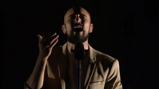 Más de 35 mil personas vieron y escucharon el primer concierto por streaming y radio de Abel Pintos