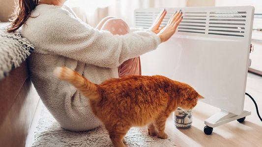 El costo de la ola polar: cuánto gasta cada artefacto para calefaccionar el hogar