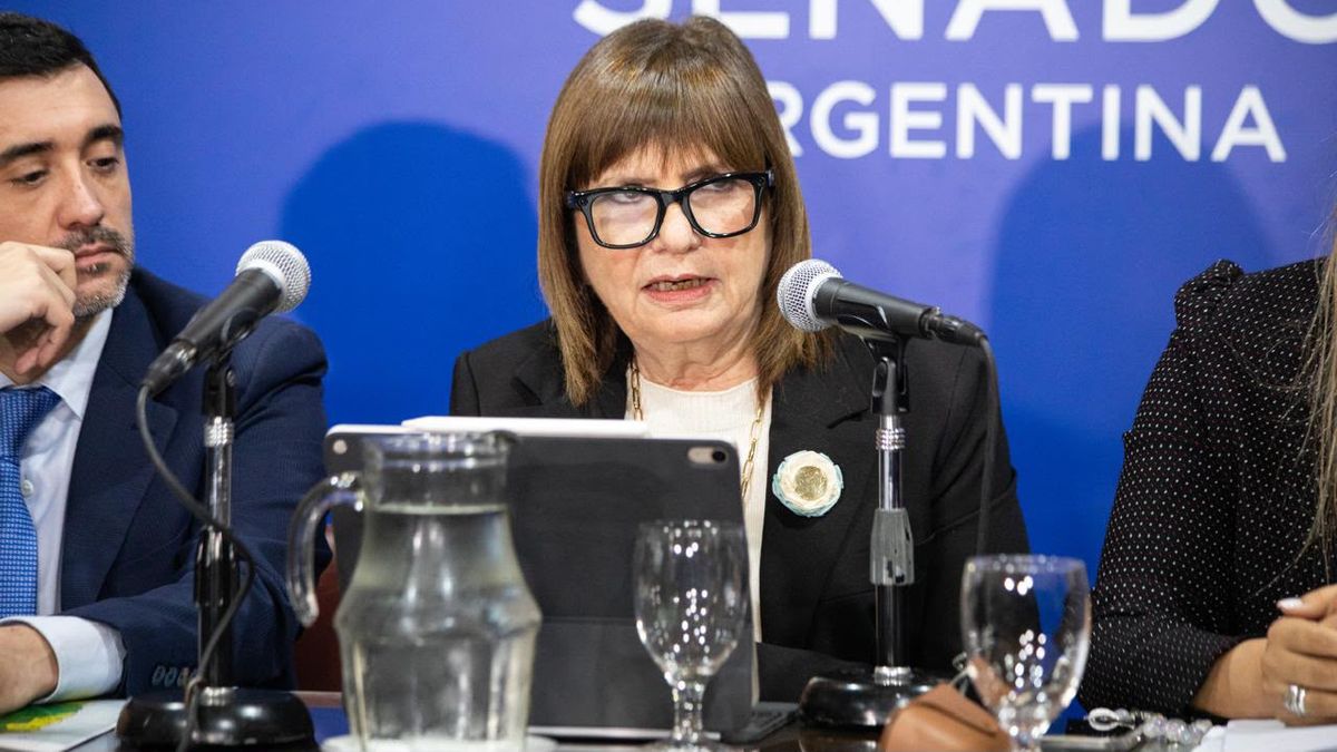 La senadora brindó este martes una conferencia de prensa para detallar las modificaciones incorporadas a la iniciativa. (Foto: prensa)