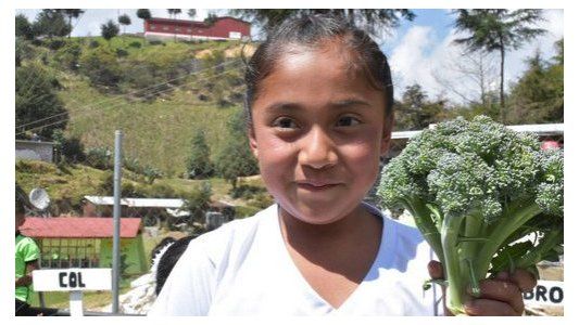 Retraso en el crecimiento y sobrepeso infantil: un informe revela el mapa de la malnutrición en América Latina