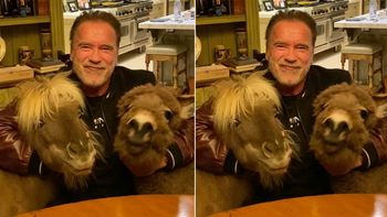 Curioso mensaje de Arnold Schwarzenegger por el Coronavirus junto a un pony y un burro