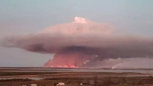 Incendios forestales: la historia de un emprendedor de las islas del Paraná que pide cuidar a los humedales