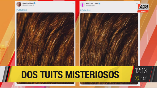 Elecciones 2021: qué significa la extraña foto que Mauricio Macri, Horacio Rodríguez Larreta y Elisa Carrió publicaron en Twitter