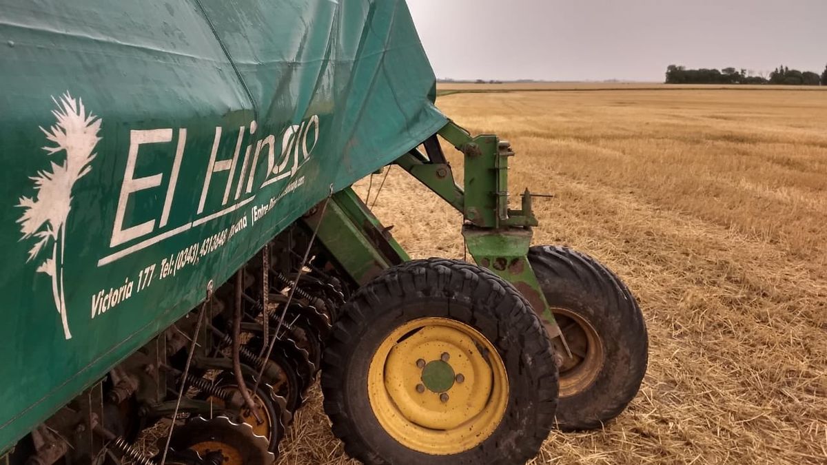 Historias de campo y de ciudad: desde El Hinojo, los Cerini se expandieron y se desarrollaron como emprendedores comerciales. 