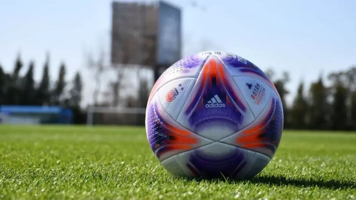 Liga Profesional&nbsp;