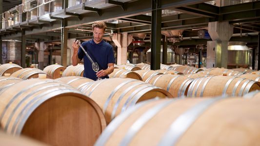 BICE: de cuánto son los créditos que otorgará para empresas mendocinas