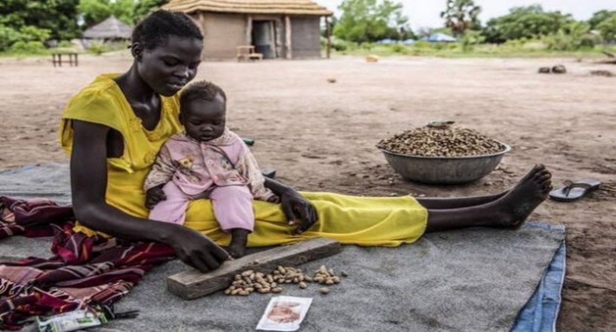 Casi una treintena de países se encuentran ante una inminente crisis alimentaria provocada por la covid. (Foto: Stefanie Glinski /FAO)