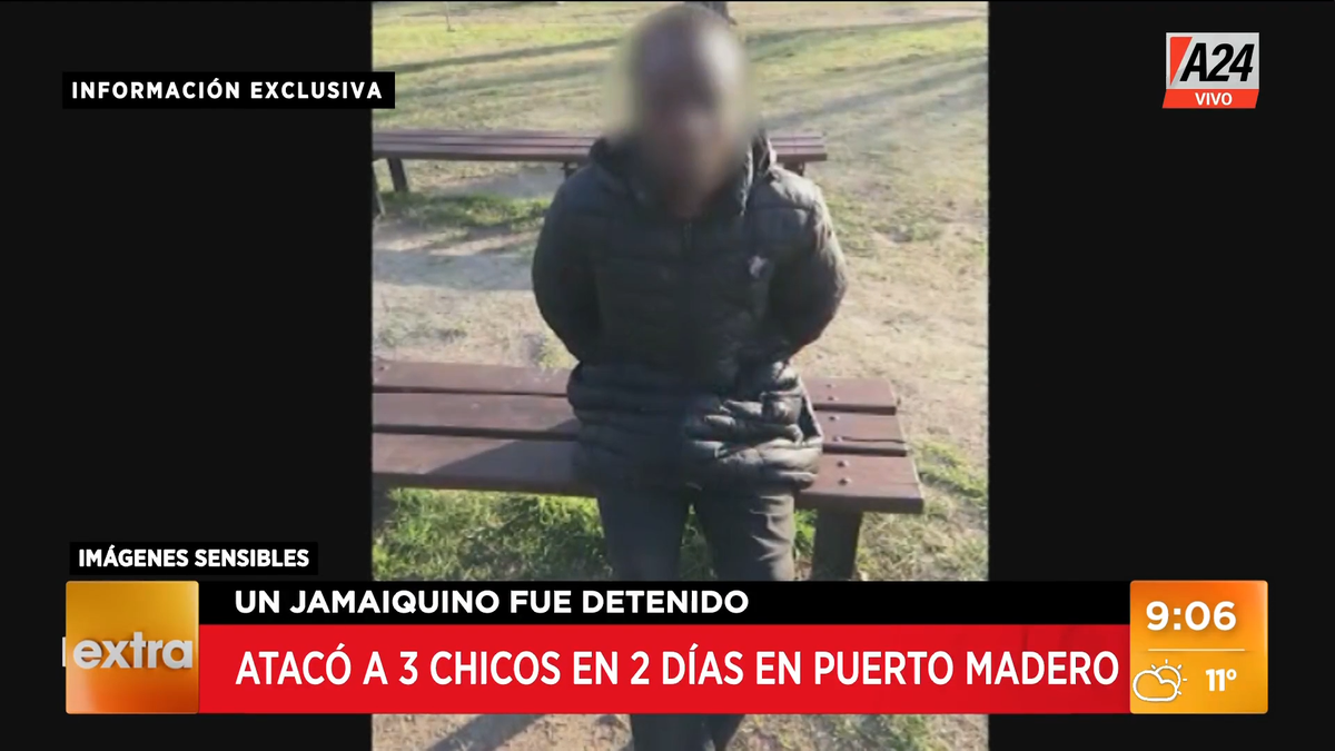 Un ciudadano jamaiquino fue capturado luego de que atacara a tres adolescentes en Puerto Madero (Foto: captura de TV).