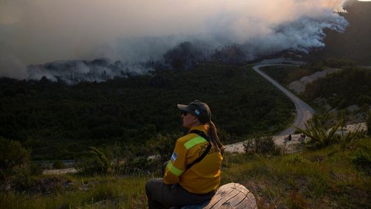 Incendios forestales: siete provincias se encuentran bajo llamas