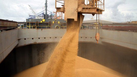 Nuevo récord en liquidación de divisas: el agro aportó 2.441 millones de dólares en septiembre