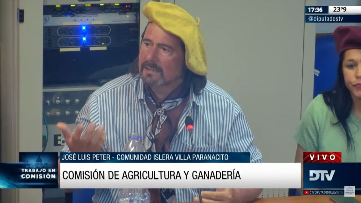 Clima tenso en Diputados por la convocatoria sobre la Ley de Humedales en Agricultura. (Imagen: captura de TV)