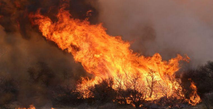 Córdoba destinará $10 millones para reforestar tras los incendios