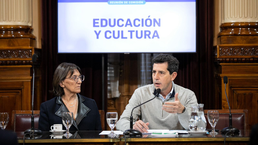La oposición en el Senado vuelve a la carga por el financiamiento del sector universitario