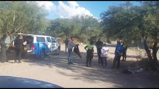 Mató a su cuñada de 20 puñaladas tras una discusión, se fugó y lo encontraron ahorcado