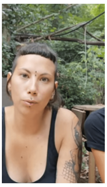 Veganos crearon un santuario animal donde no juntan gallinas con gallos para que no sufran abusos