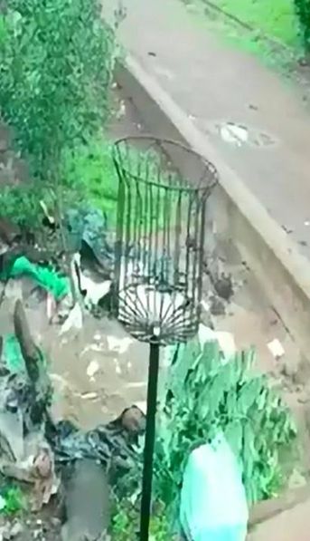 Video: una nena de 7 años fue raptada en plena calle y su papá logró evitar una tragedia