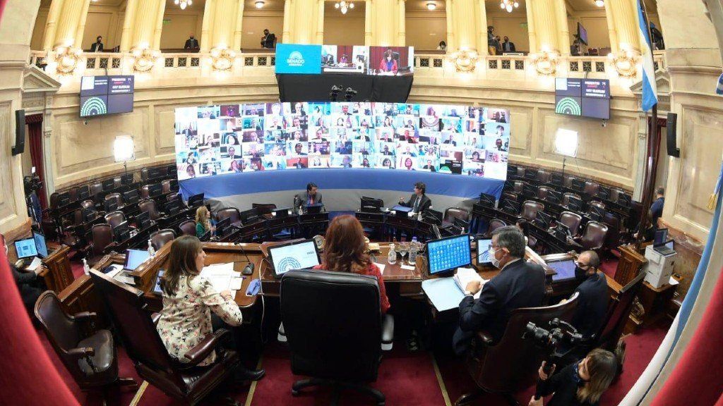El Senado aprobó 20 decretos del gobierno en la primera sesión virtual