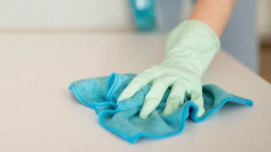 Empleadas Domésticas: Qué asignaciones de ANSES son compatibles con el Programa Registradas