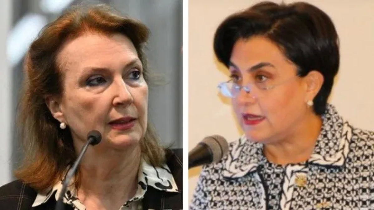 Diana Mondino habló con su par Gabriela Sommerfeld y brindóel apoyo argentino. (Foto: Crónica)