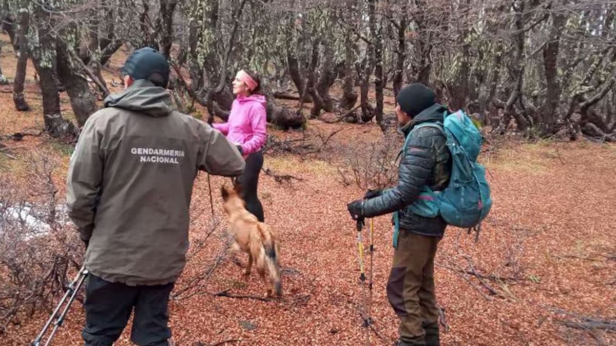 Búsqueda desesperada de dos mujeres en El Bolsón: salieron de excursión y nunca regresaron (Foto: archivo)