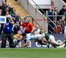 Los Pumas cayeron ante Sudáfrica, que volvió a coronarse campeón en el Rugby Championship