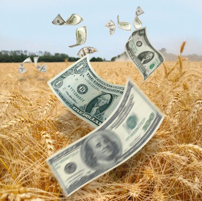 Producir en la incertidumbre: cómo financiarse tras el adelanto de ventas de 2019