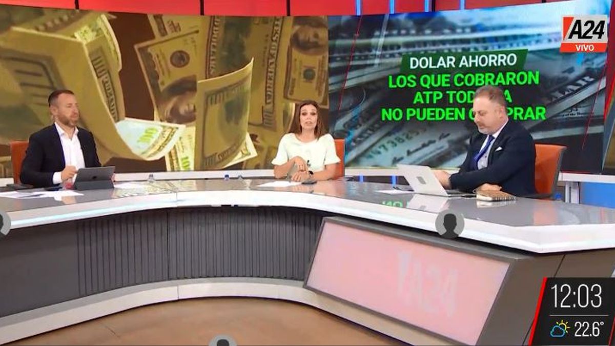 Dólar ahorro: ¿cuándo podrán acceder trabajadores que cobraron ATP? (Captura de Tv)