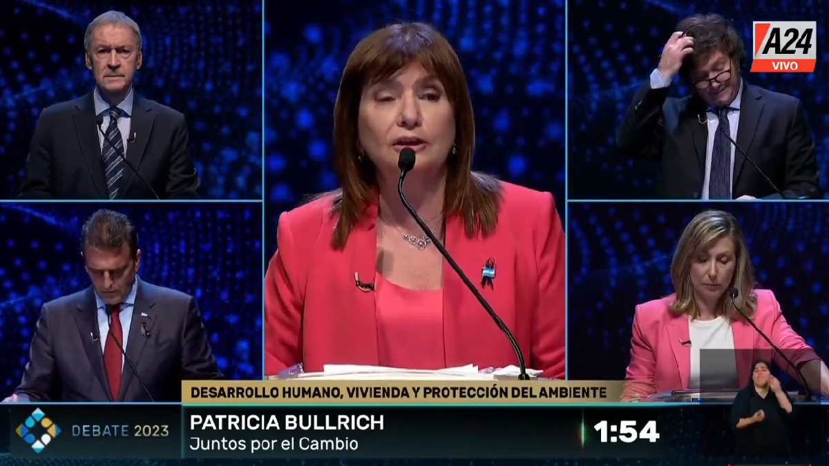 Patricia Bullrich apuntó contra Javier Milei y Sergio Massa (Foto: captura de video).