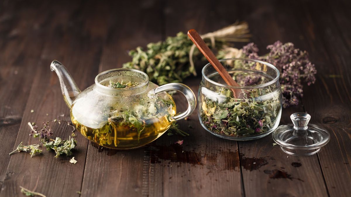 El t&eacute; de or&eacute;gano, la infusi&oacute;n perfecta para fortalecer tu sistema digestivo.