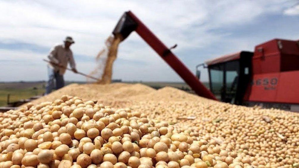 Ingresos inesperados: el país recibiría más de USD 4.000 millones adicionales por la suba del precio de los granos