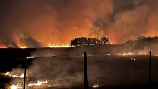 17 focos activos, 800 hectáreas afectadas y veterinarios al rescate: ¿cómo sigue Corrientes frente al avance de los incendios?