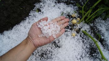 Viernes de lluvia con granizo y calor extremo pronosticado para varias provincias: ¿dónde habrá tormentas?
