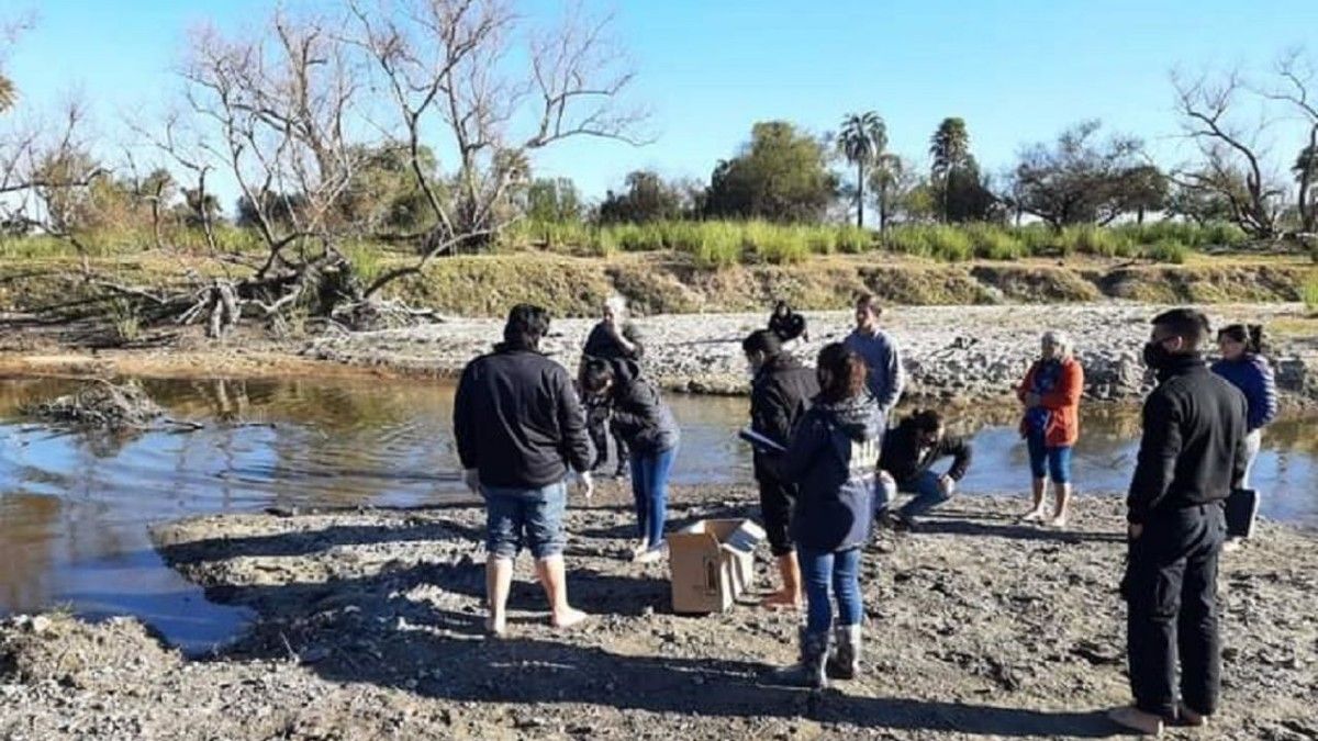 El arroyo cercano a la ruta nacional 11